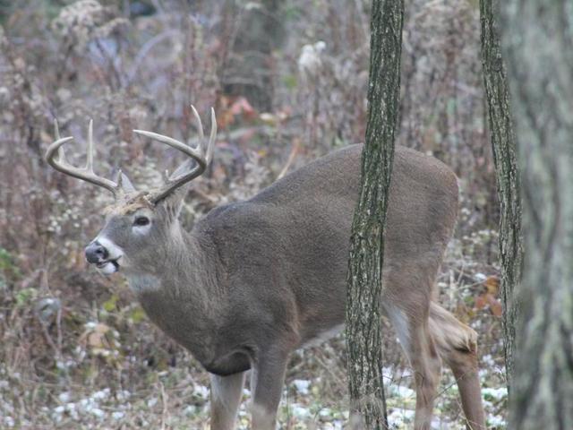 2865 Follett Run Road Warren, PA 16365 - Photo 36 of 39 Gallery Image 36