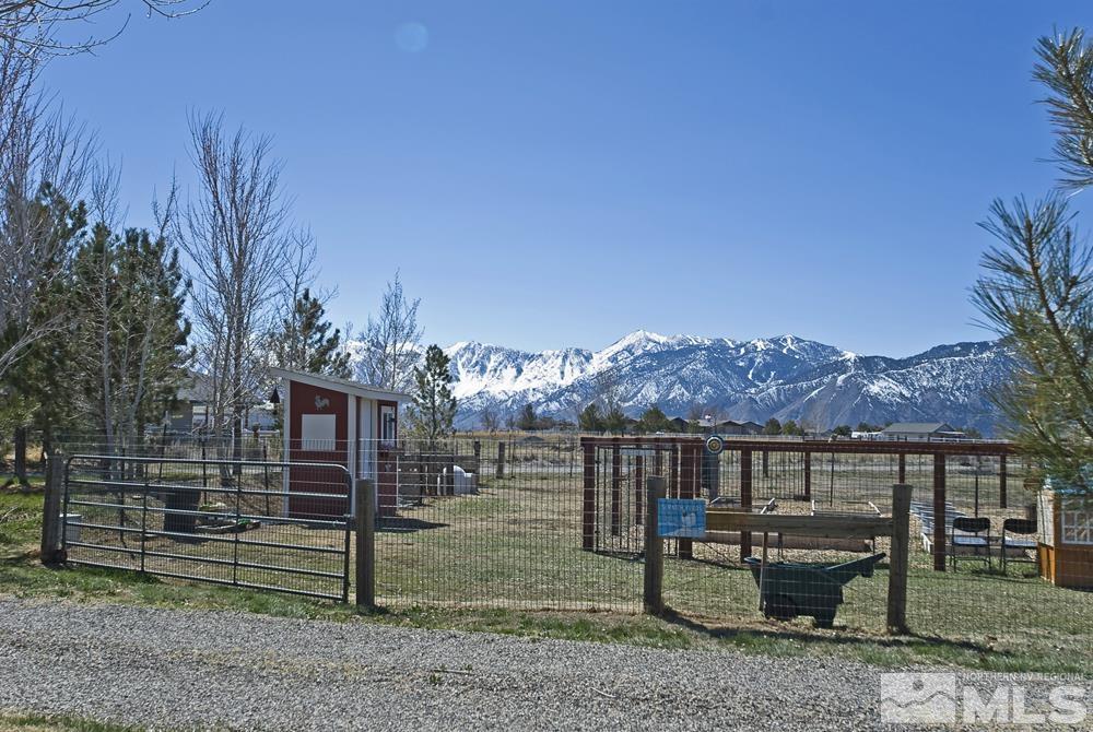 2665 Billy's Road Minden, NV 89423 - Photo 10 of 40 Photo 10