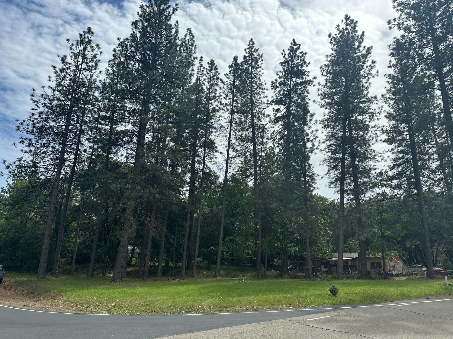 27 Ridge Road Mokelumne Hill, CA 95245 - Photo 7 of 9