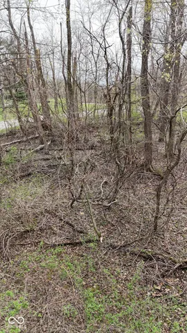 $18,000 | 0 West State Road 234, Crawfordsville, IN 47933