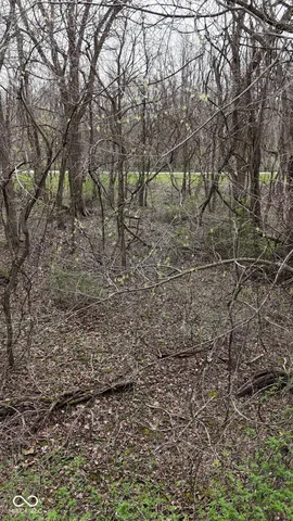 $18,000 | 0 West State Road 234, Crawfordsville, IN 47933