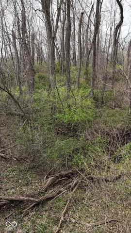 $18,000 | 0 West State Road 234, Crawfordsville, IN 47933