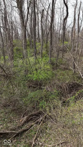 $18,000 | 0 West State Road 234, Crawfordsville, IN 47933