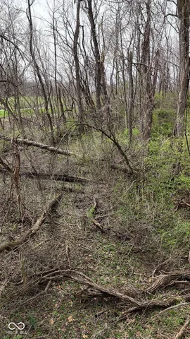 $18,000 | 0 West State Road 234, Crawfordsville, IN 47933