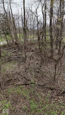 $18,000 | 0 West State Road 234, Crawfordsville, IN 47933