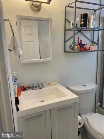 a bathroom with a sink and a toilet