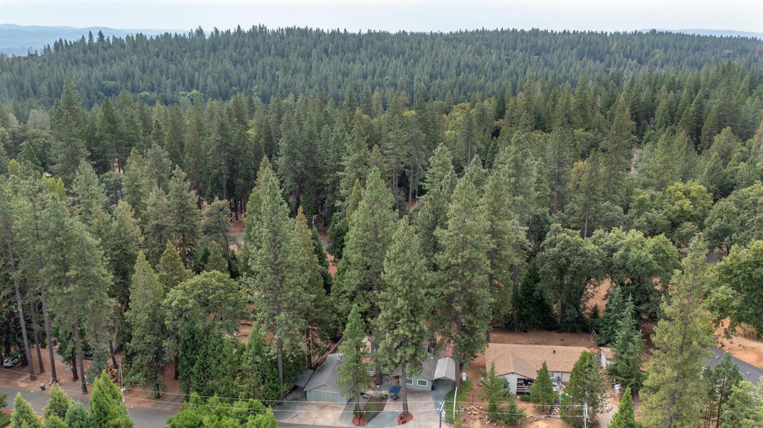 23832 Old Madrone Road Pioneer, CA 95666 - Photo 47 of 48 a view of a forest with a street