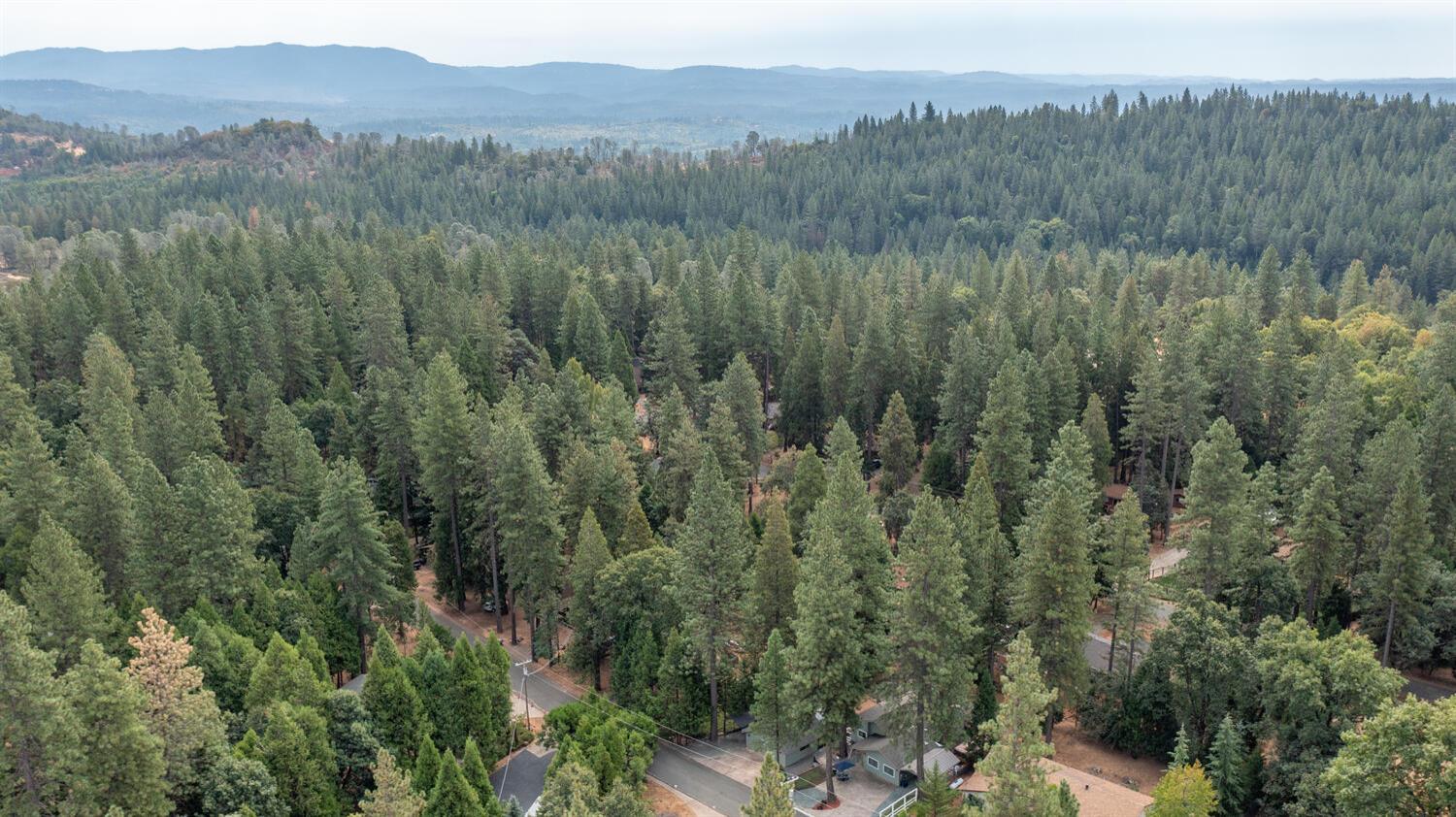 23832 Old Madrone Road Pioneer, CA 95666 - Photo 48 of 48 a view of a lush green forest with trees and houses