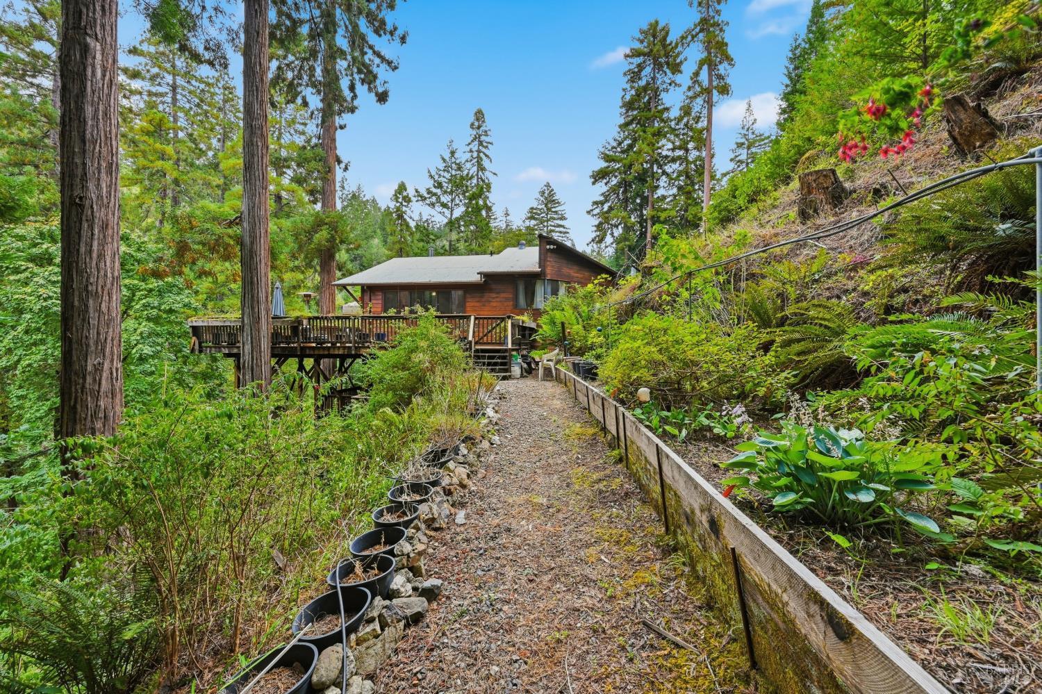 19300 Fort Ross Road Cazadero, CA 95421 - Photo 54 of 92 Trail down to the creek