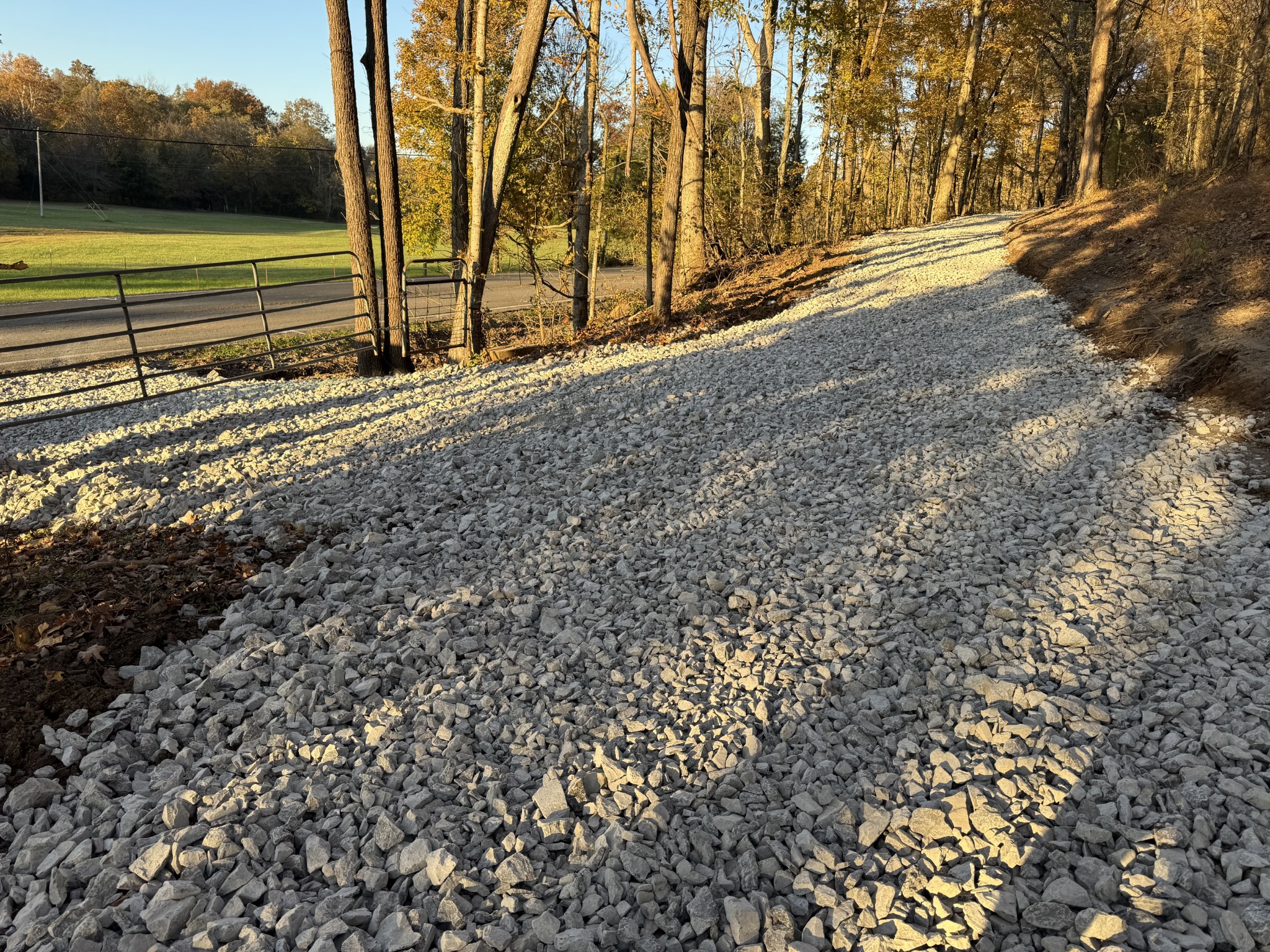 2878 Springplace Road Belfast, TN 37019 - Photo 2 of 8 a view of a yard with an trees