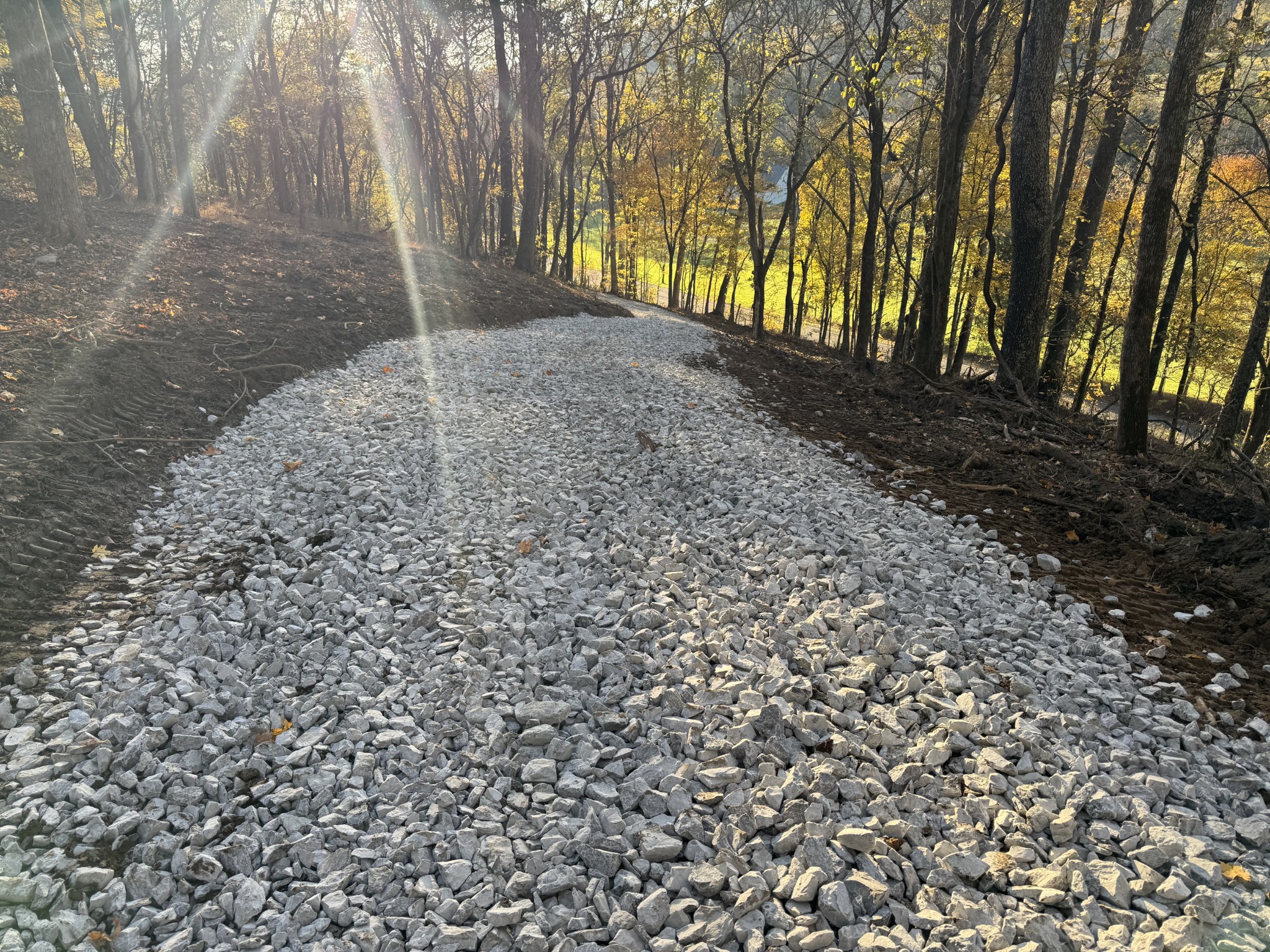 2878 Springplace Road Belfast, TN 37019 - Photo 3 of 8 a view of backyard and tree