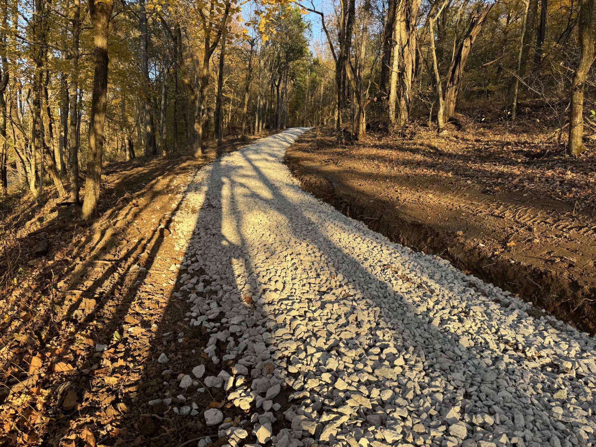 2878 Springplace Road Belfast, TN 37019 - Photo 4 of 8 a view of yard covered with snow