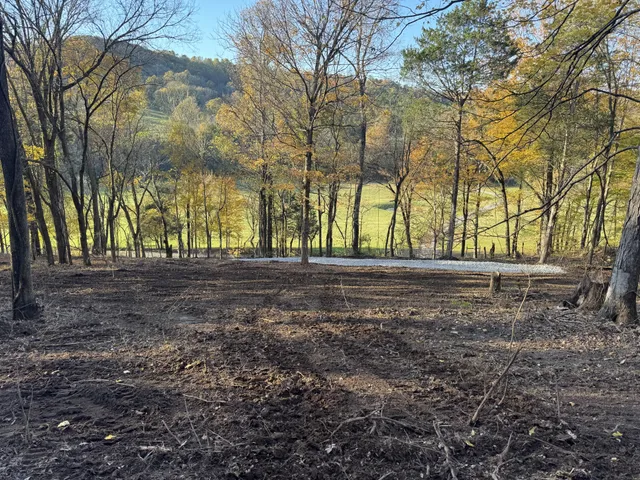 a view of outdoor space with trees