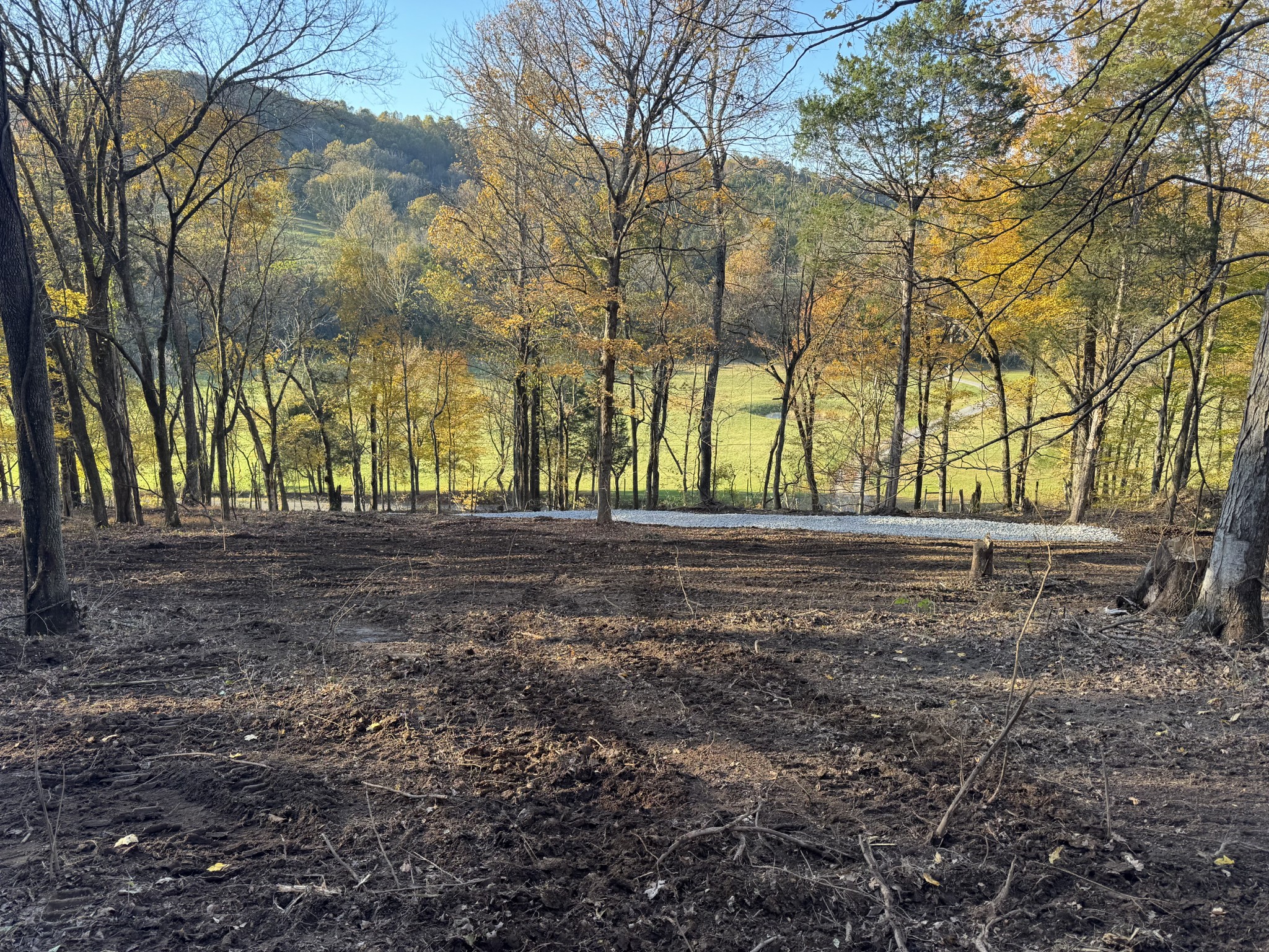 2878 Springplace Road Belfast, TN 37019 - Photo 5 of 8 a view of outdoor space with trees