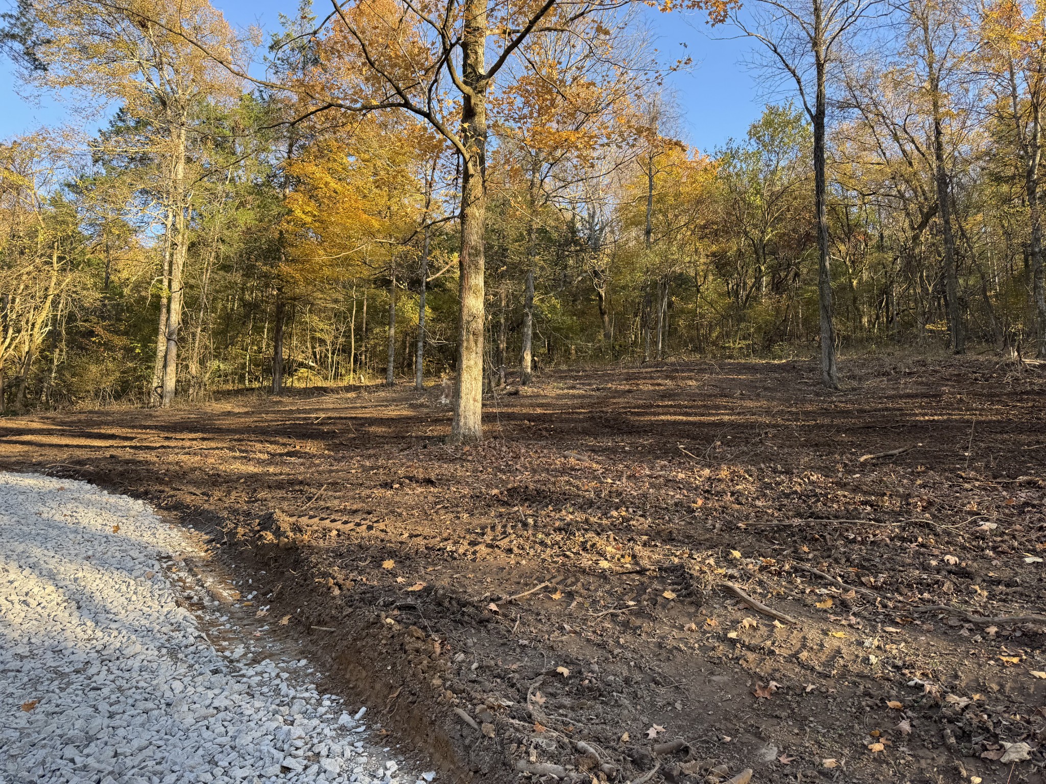 2878 Springplace Road Belfast, TN 37019 - Photo 6 of 8 a backyard of a house with lots of green space