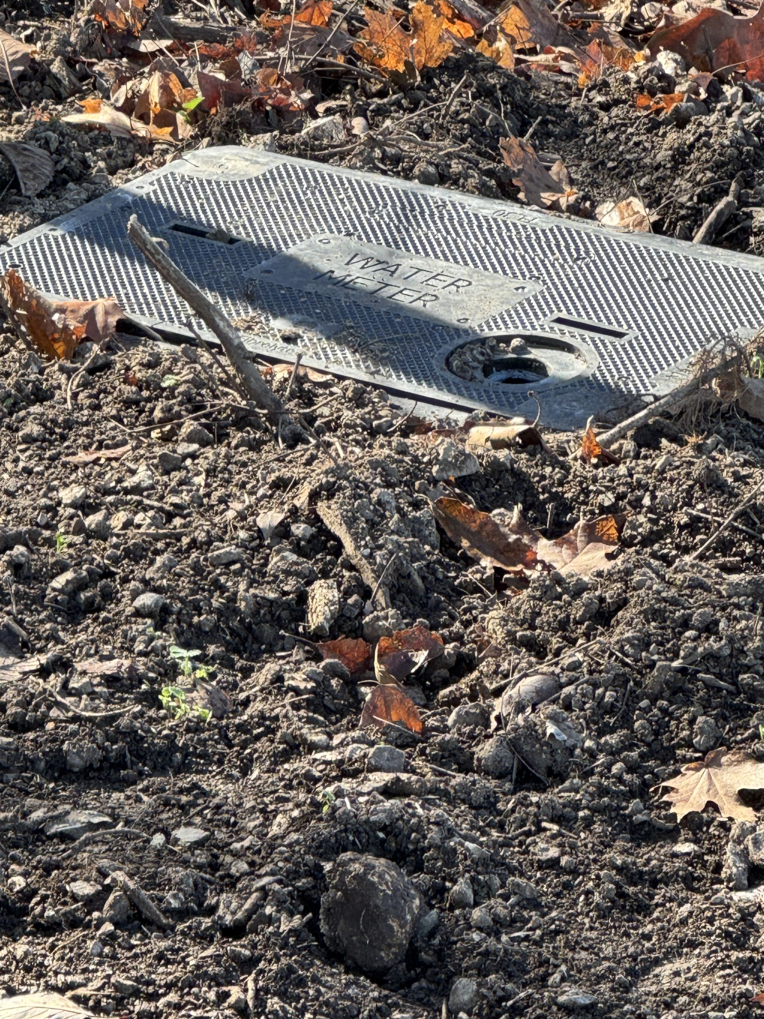 2878 Springplace Road Belfast, TN 37019 - Photo 7 of 8