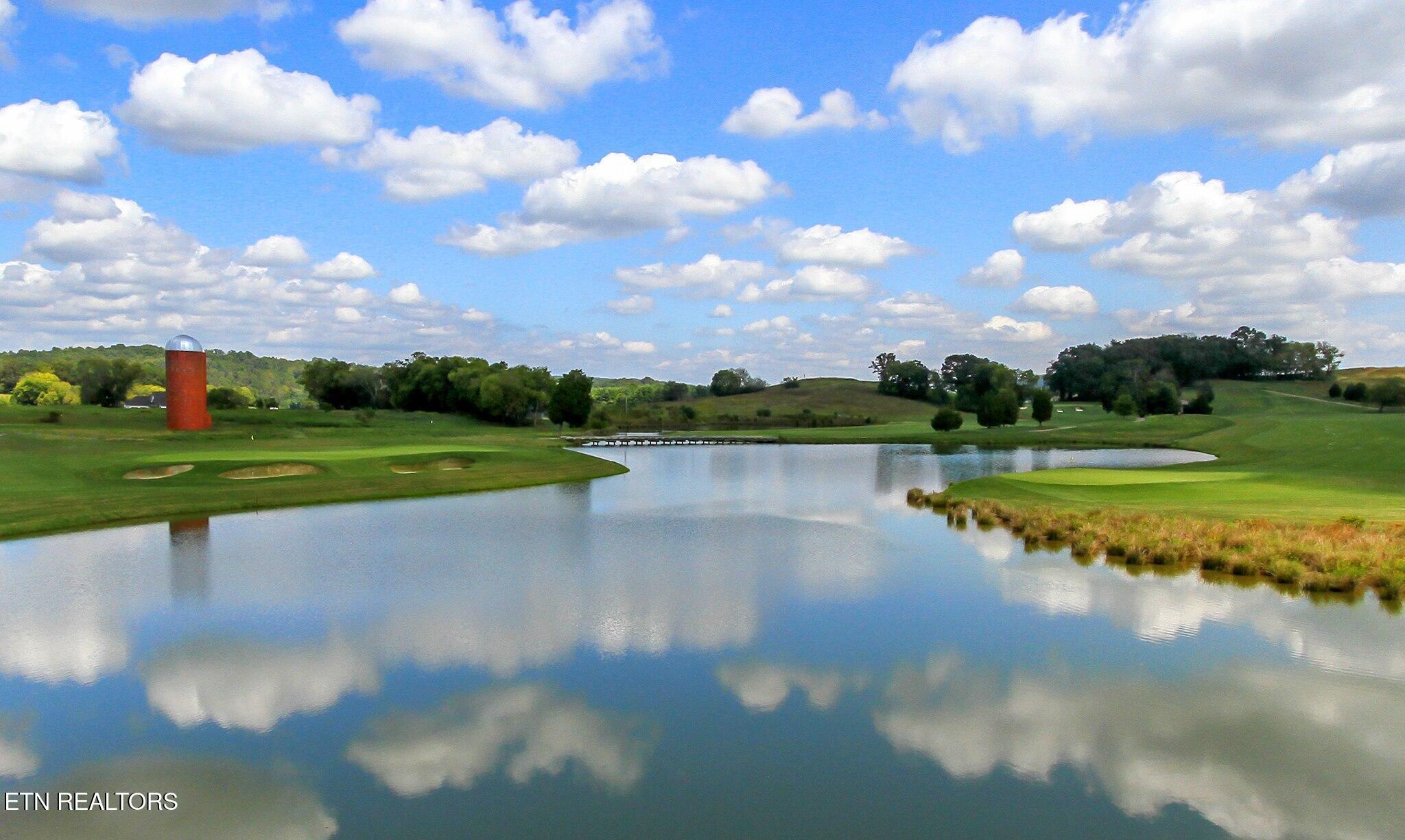 211 Chestnut Lane Loudon, TN 37774 - Photo 11 of 13 Pond at Tn National