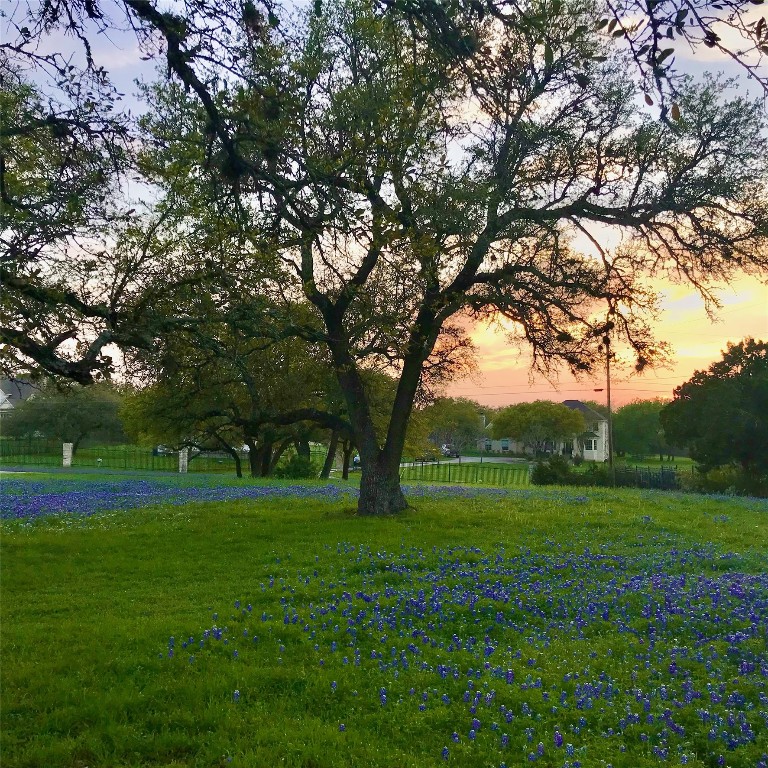 280 Sunset Terrace Cedar Park, TX 78613 - Photo 25 of 38 a view of grassy field with benches