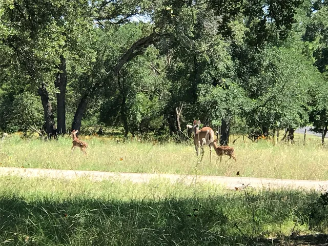 $799,900 | 280 Sunset Terrace, Cedar Park, TX 78613