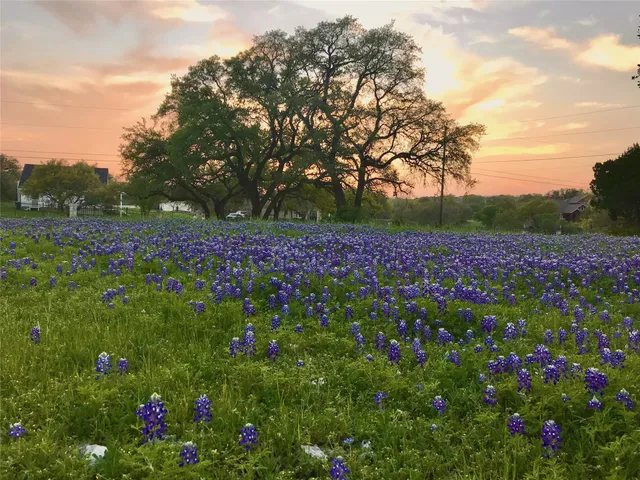 $799,900 | 280 Sunset Terrace, Cedar Park, TX 78613