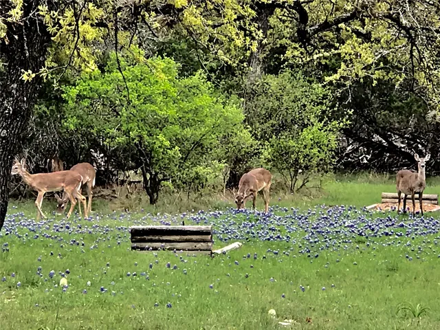 $799,900 | 280 Sunset Terrace, Cedar Park, TX 78613