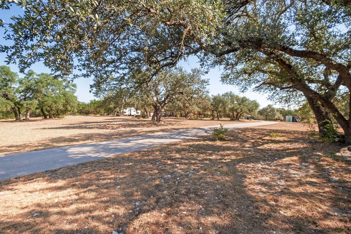 280 Sunset Terrace Cedar Park, TX 78613 - Photo 10 of 38 a view of a yard with a tree