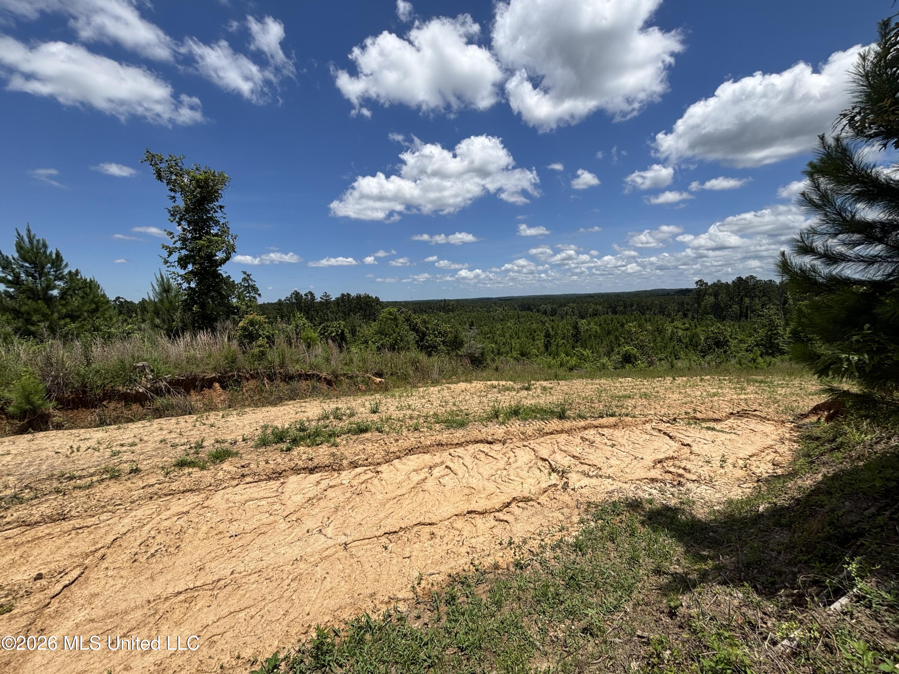Stump Road Crosby, MS 39633 - Photo 23 of 60 IMG_4365
