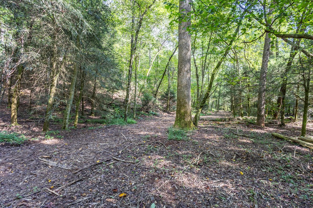 23.59-ac Chestnut Flts Road Andrews, NC 28901 - Photo 16 of 44 a view of outdoor space with green space