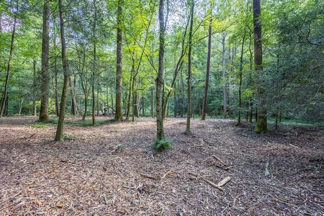 a view of outdoor space with trees