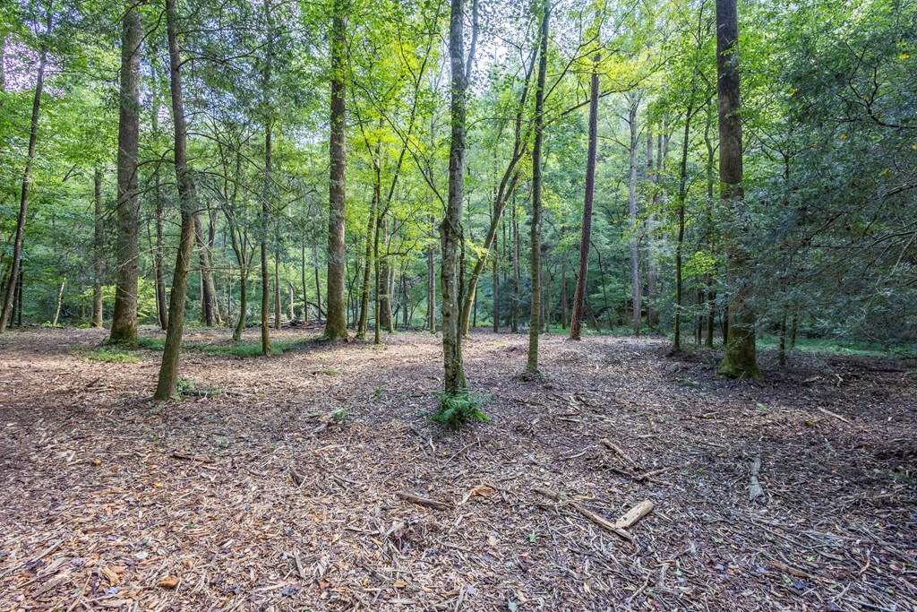 23.59-ac Chestnut Flts Road Andrews, NC 28901 - Photo 19 of 44 a view of outdoor space with trees