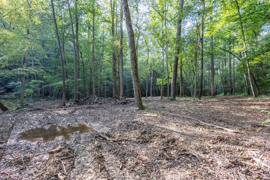 23.59-ac Chestnut Flts Road Andrews, NC 28901 - Photo 26 of 44 a view of outdoor space with lots of trees