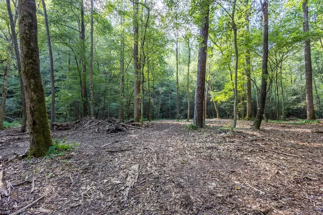 a view of outdoor space and trees