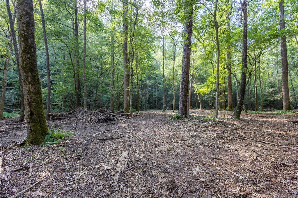 23.59-ac Chestnut Flts Road Andrews, NC 28901 - Photo 27 of 44 a view of outdoor space and trees