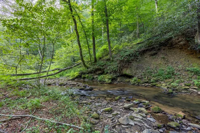 a backyard of a house with lots of green space