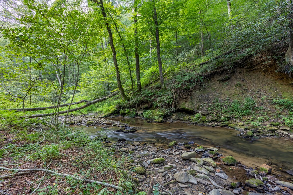 23.59-ac Chestnut Flts Road Andrews, NC 28901 - Photo 28 of 44 a backyard of a house with lots of green space