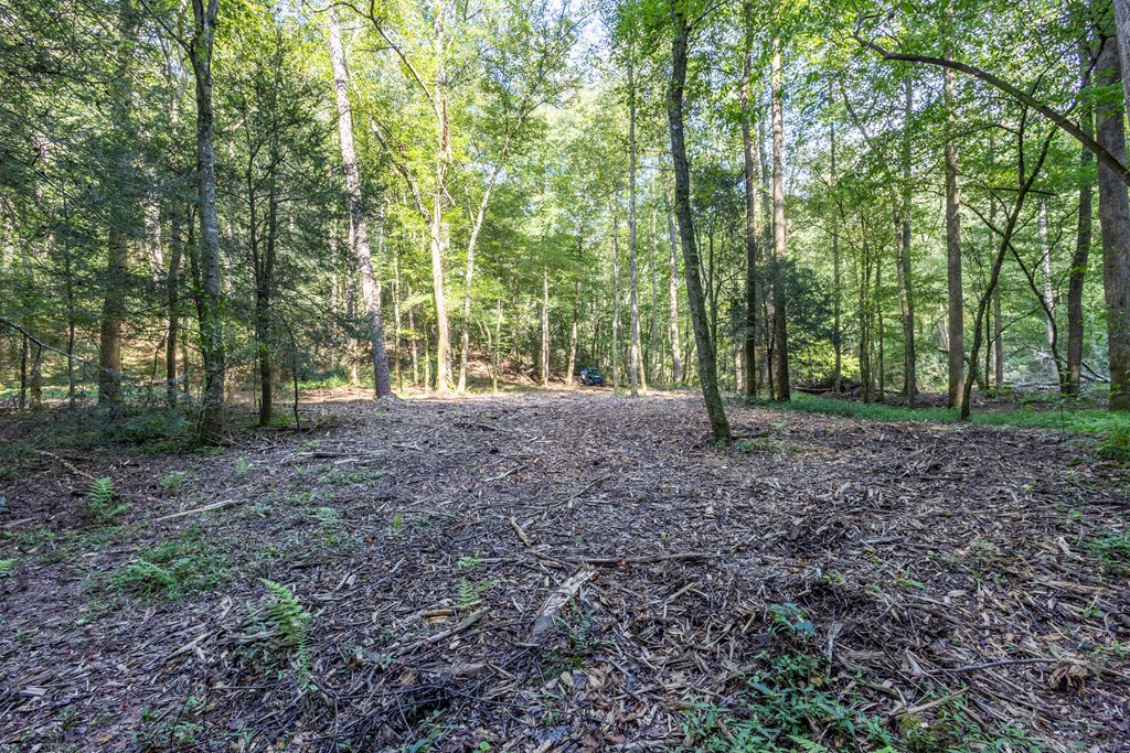 23.59-ac Chestnut Flts Road Andrews, NC 28901 - Photo 30 of 44 a view of outdoor space with tree s