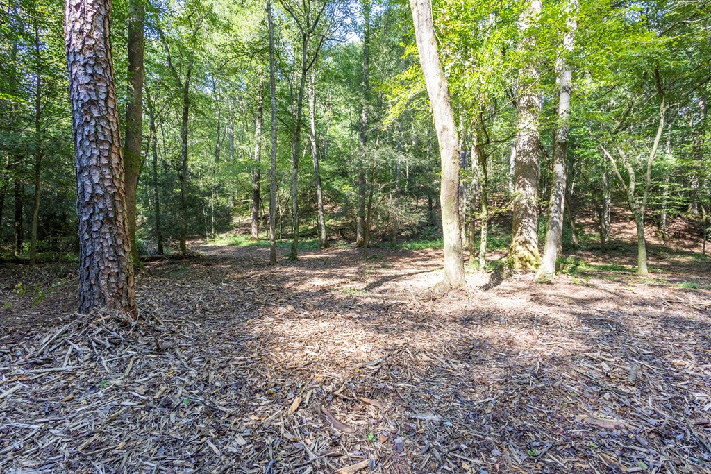 23.59-ac Chestnut Flts Road Andrews, NC 28901 - Photo 31 of 44 a backyard of a house with lots of green space