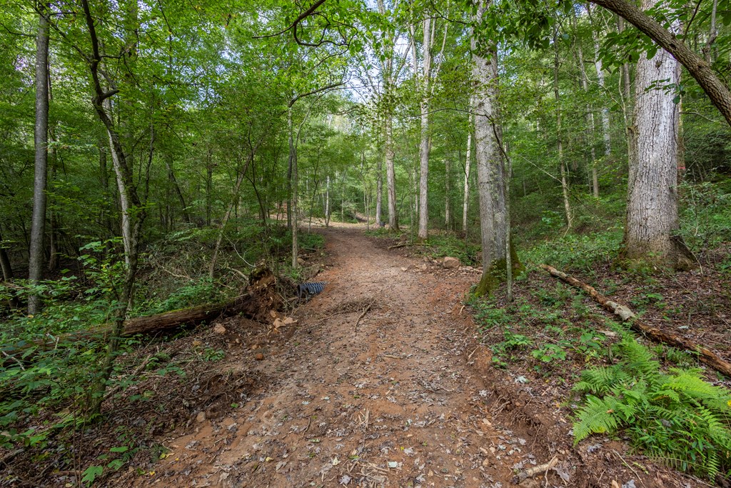 23.59-ac Chestnut Flts Road Andrews, NC 28901 - Photo 34 of 44 a view of a forest with trees in the background