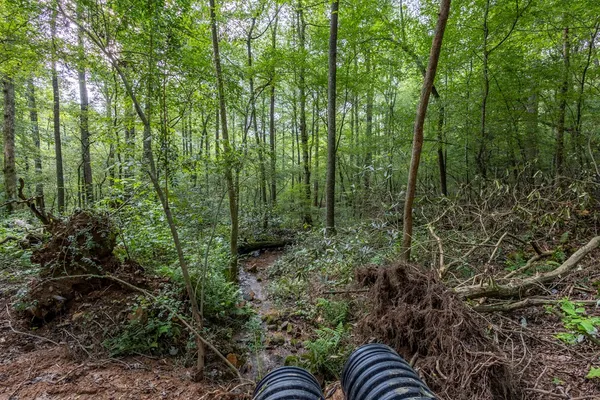 a view of outdoor space and garden