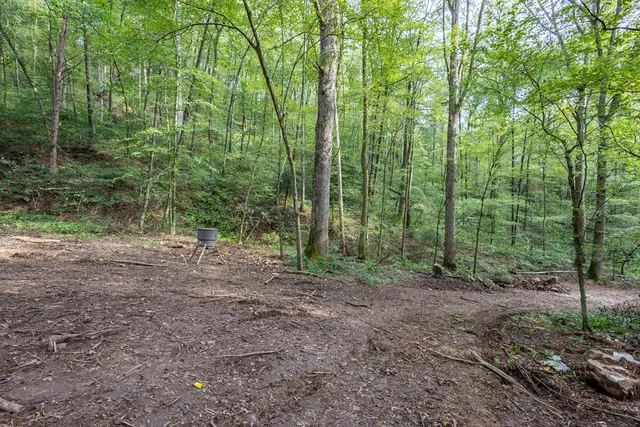 a view of outdoor space and green space
