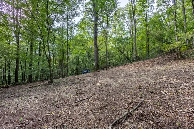 a big yard with lots of green space and deers