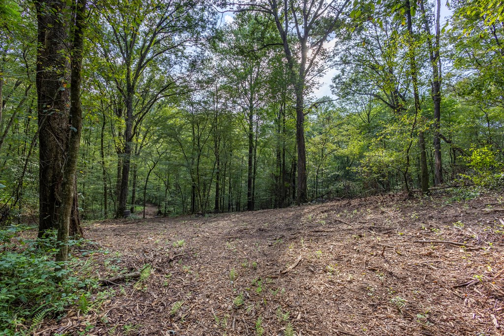 23.59-ac Chestnut Flts Road Andrews, NC 28901 - Photo 42 of 44 a big yard with lots of green space and fog