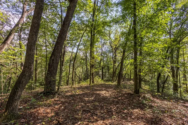 a view of outdoor space and trees
