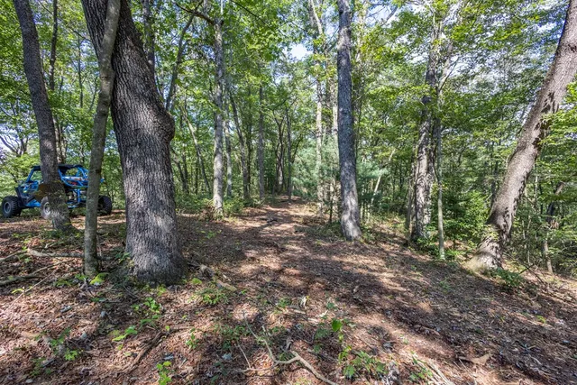 a view of outdoor space and tree