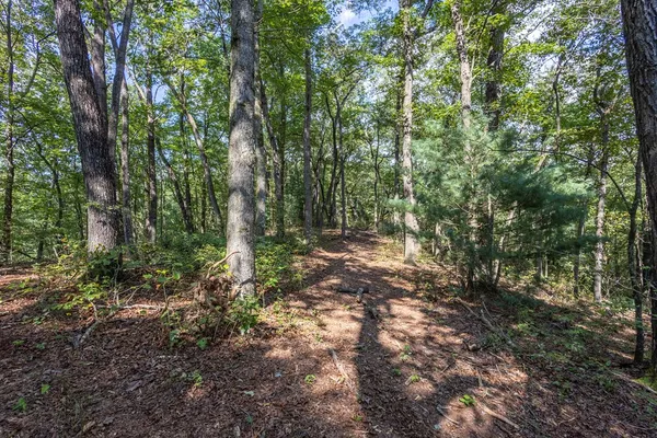 a view of outdoor space and green space