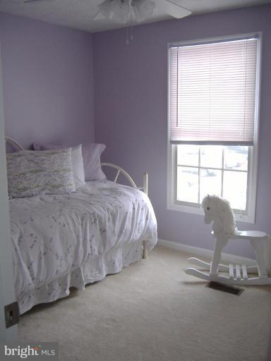 1556 Twisted Oak Drive Reston, VA 20194 - Photo 7 of 19 Bedroom #2