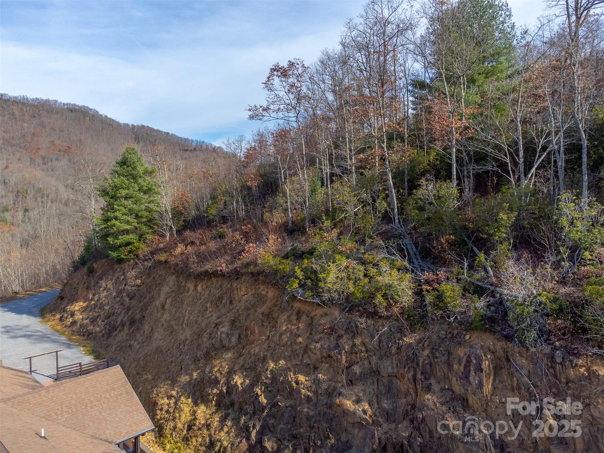 0 Garnet Road Sylva, NC 28779 - Photo 11 of 46 a view of a yard with a tree