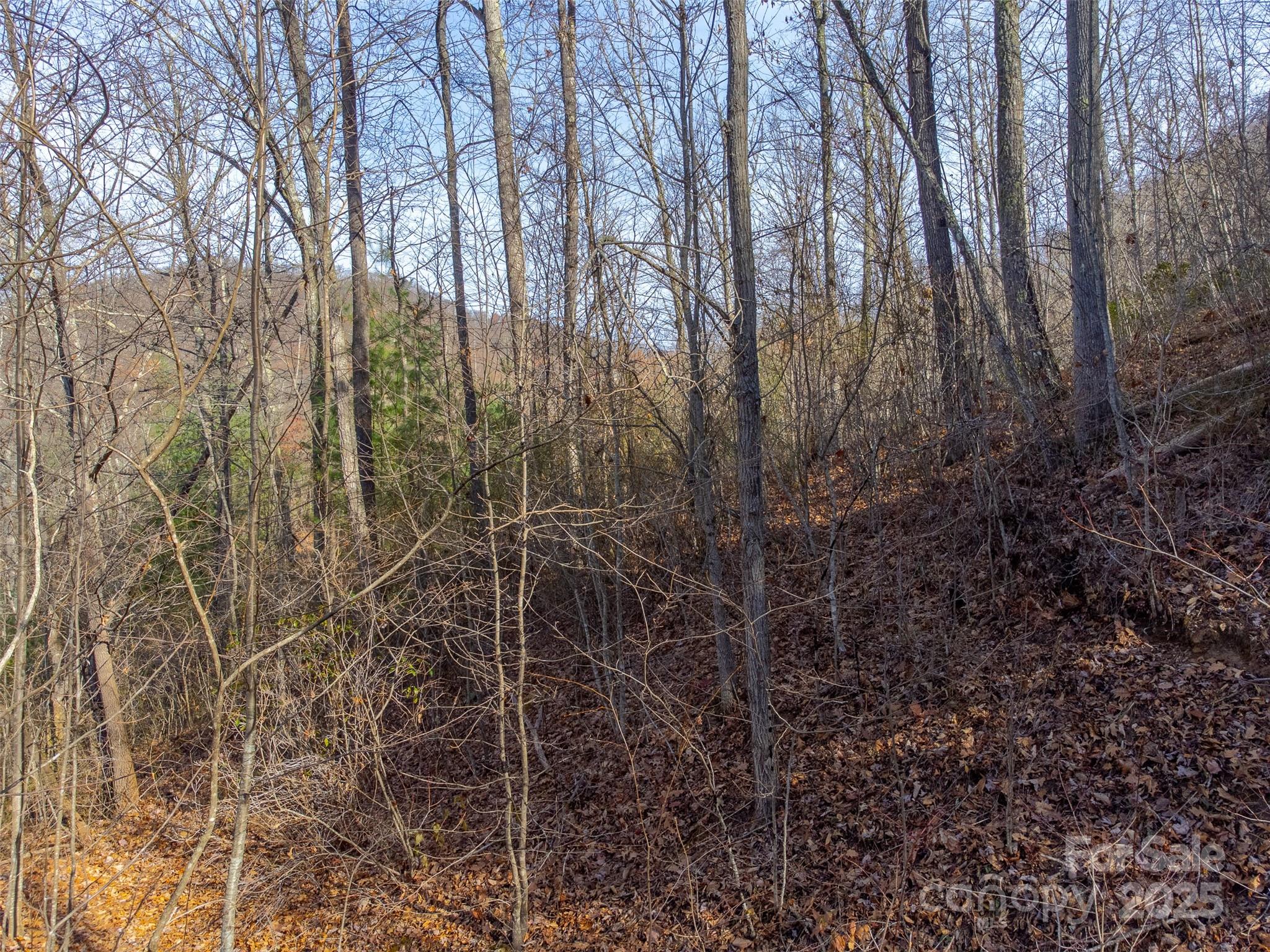 0 Garnet Road Sylva, NC 28779 - Photo 17 of 46