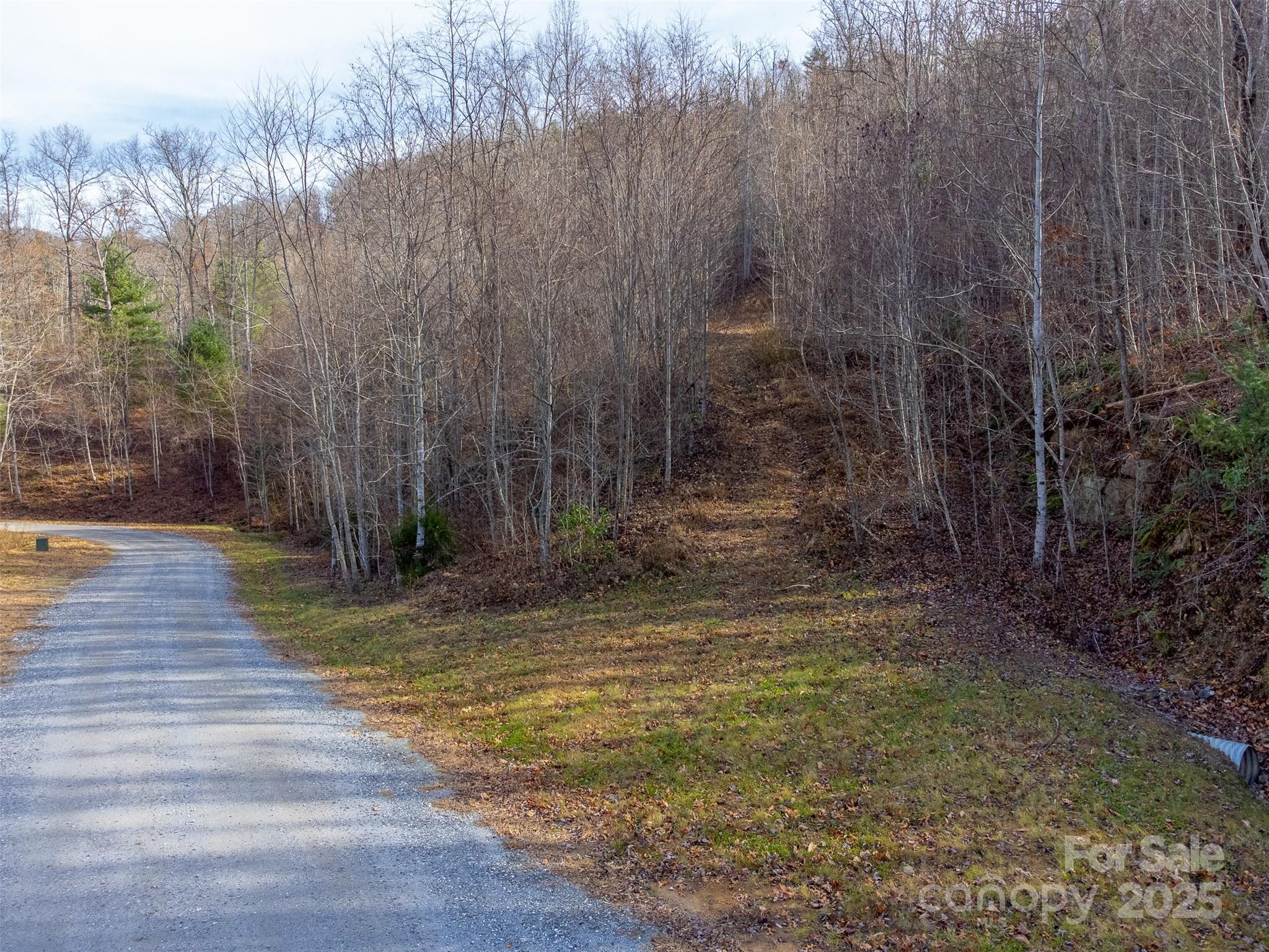 0 Garnet Road Sylva, NC 28779 - Photo 2 of 46 a view of a backyard with trees