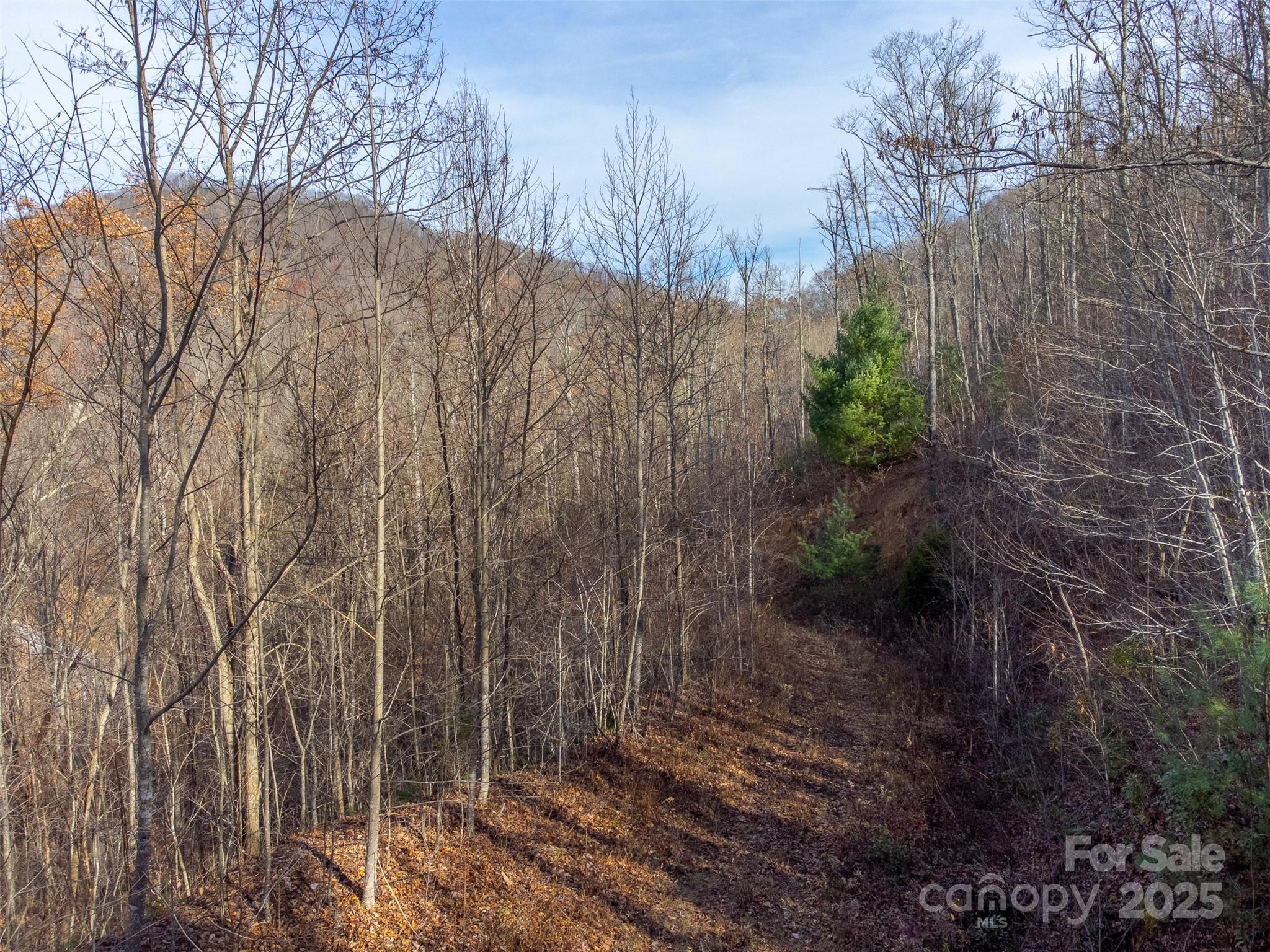 0 Garnet Road Sylva, NC 28779 - Photo 22 of 46 a view of a backyard